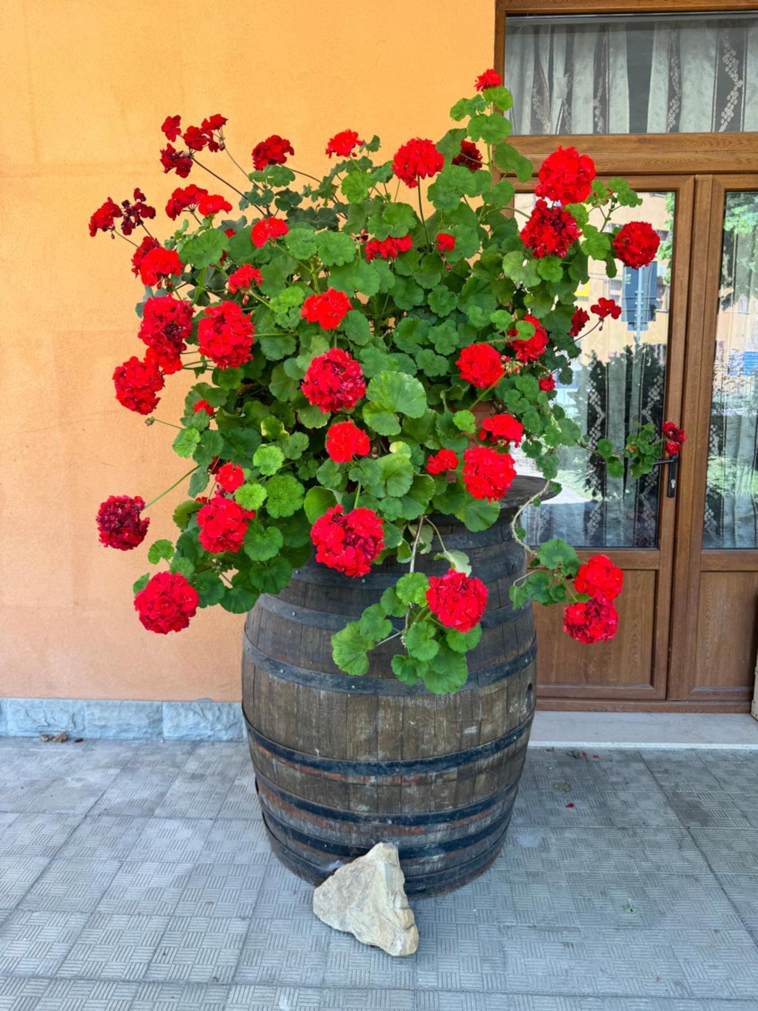 B&B Romani Madonna di Fornelli Екстериор снимка
